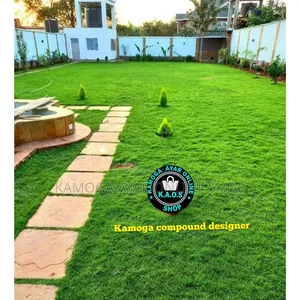 Hybrid Natural Garden Paspalum Grass and Lawn Grass