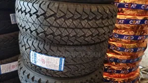 265/65r17 Petromax a/T