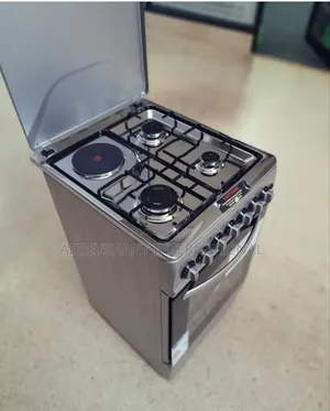 Stand Cooker Global Star Oven and Cooker Gas and Electric
