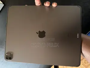 Apple iPad Pro 12.9 (2022) 1 TB Gray