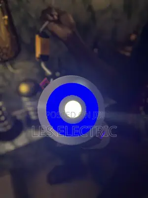 8+4watts Spotlight Blue/Warmwhite