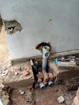 Toilet and Bathroom Plumbing