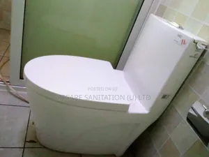 Toilet and Bathroom Plumbing