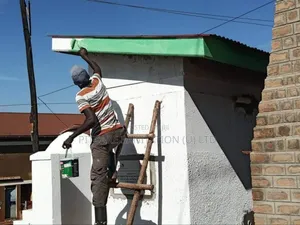 Toilet Construction
