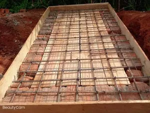 Toilet Construction