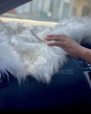 Car Dashboard Covers