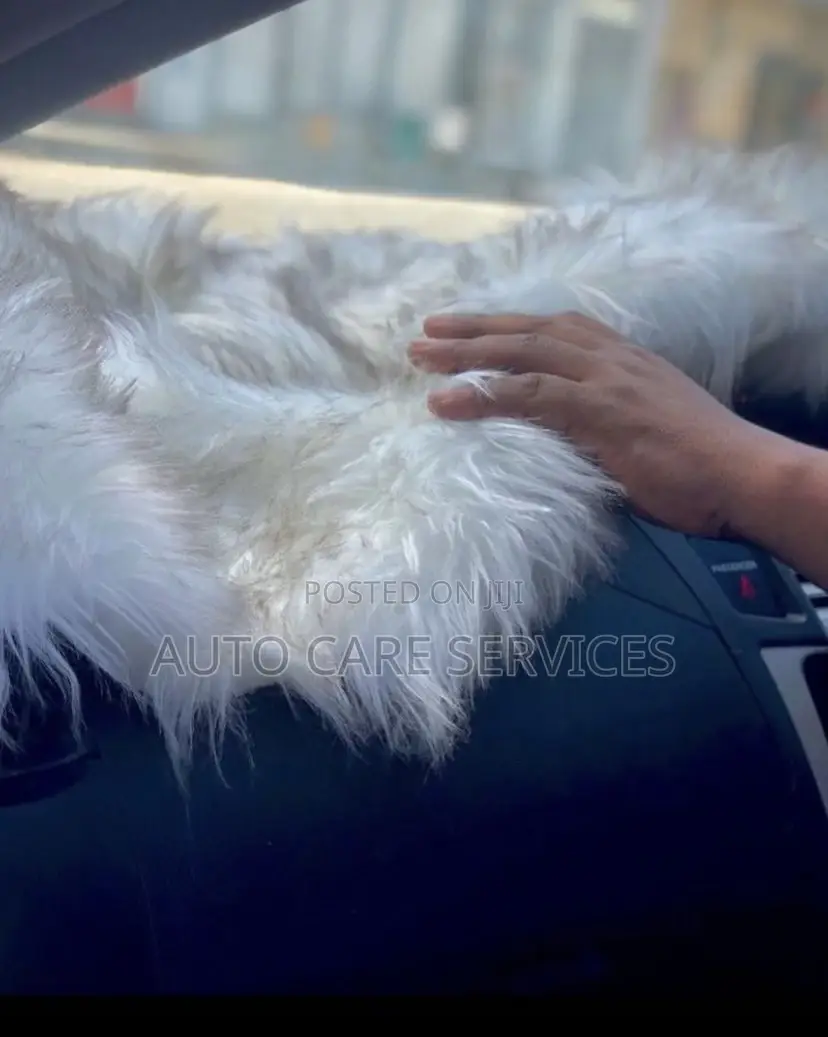 Car Dashboard Covers