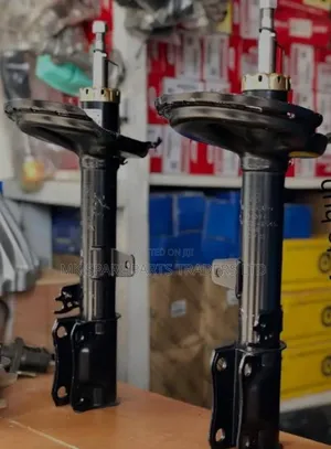 Shock Absorbers