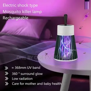 Rechargeable Electric Shock Mosquito Killing Lamp USB