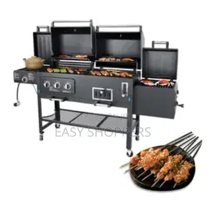 Gas BBQ Oven Outdoor Gas Grill Large Charcoal Grill Stove