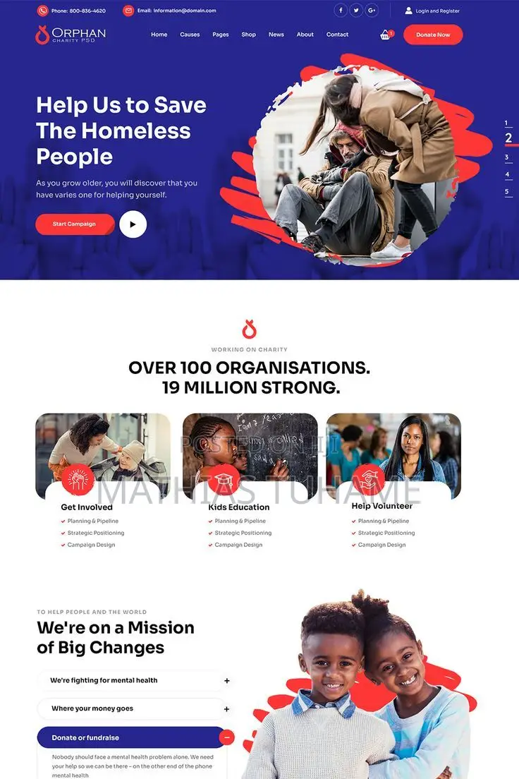 Ngo's Website With Donation Form