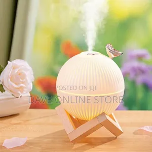 330ml USB Mini Humidifier for Home