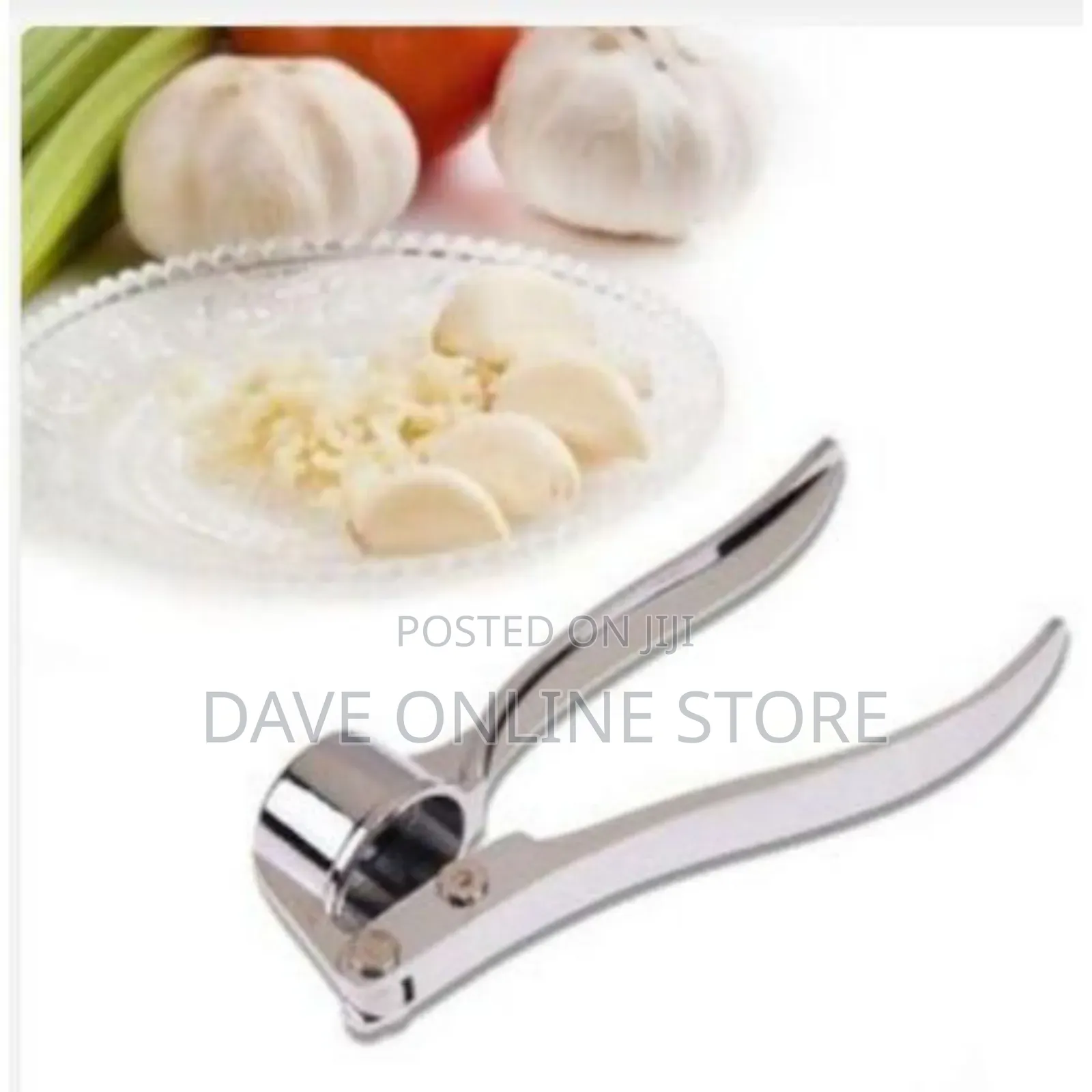 Stainless Steel Garlic Press Machine