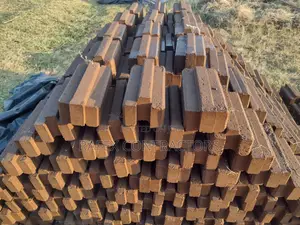 Interlocking Soil Block Laying ( Issb )
