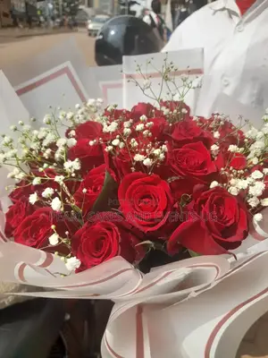 Flowers Surprises Gifts Decorations Red in White Wrap Gips