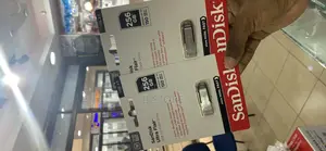 256GB San Disk Flash