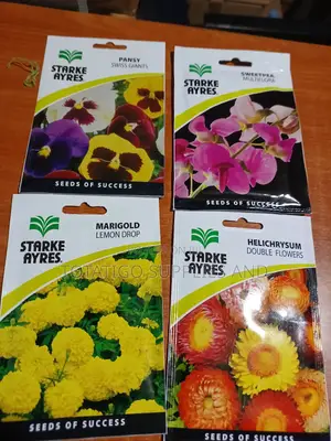 Flower Seeds Best- 1 Sachet.