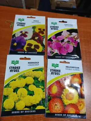 Flower Seeds Best- 1 Sachet.