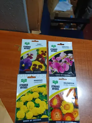Flower Seeds Best- 1 Sachet.