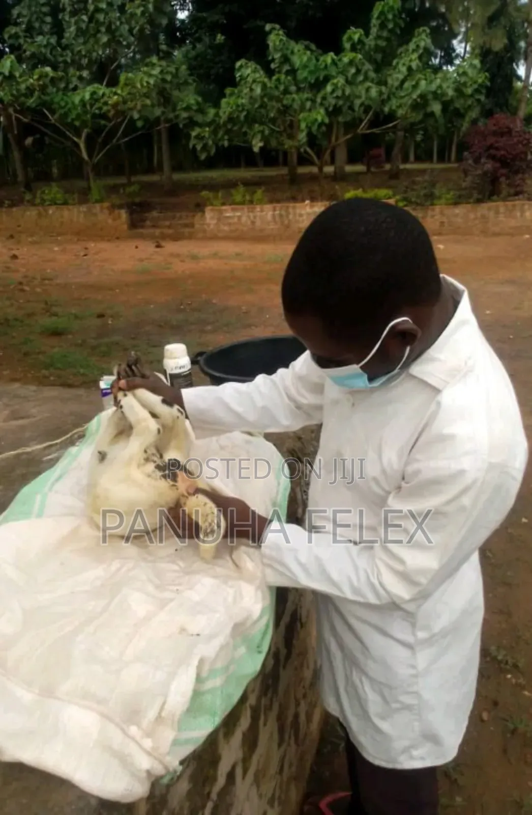 Veterinary Extension Services