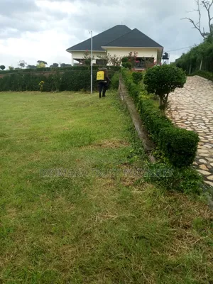 Out Door and in Door Fumigation.