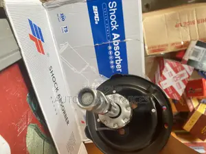 Car Shock Absorber Wish