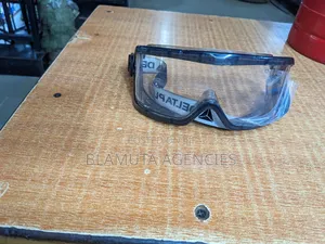 Delta Plus Anti Fog Goggles