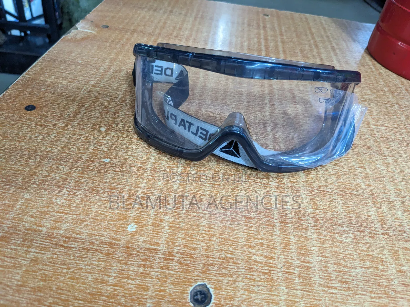 Delta Plus Anti Fog Goggles