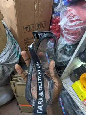 Delta Plus Anti Scratch And Anti Fog Goggles