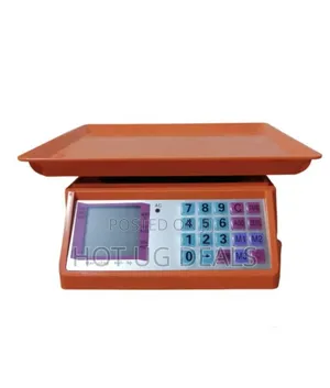 30kg Electronic Digital Computing Weighing Scale - Orange