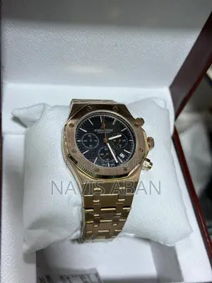 Audemars Piguet Watch for Classic Men