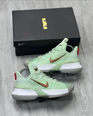 Men's Nike Lebron Ambassador 13 Nike Basketball Shoes
