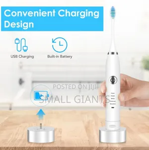 2 Heads Sonic Electric Toothbrush