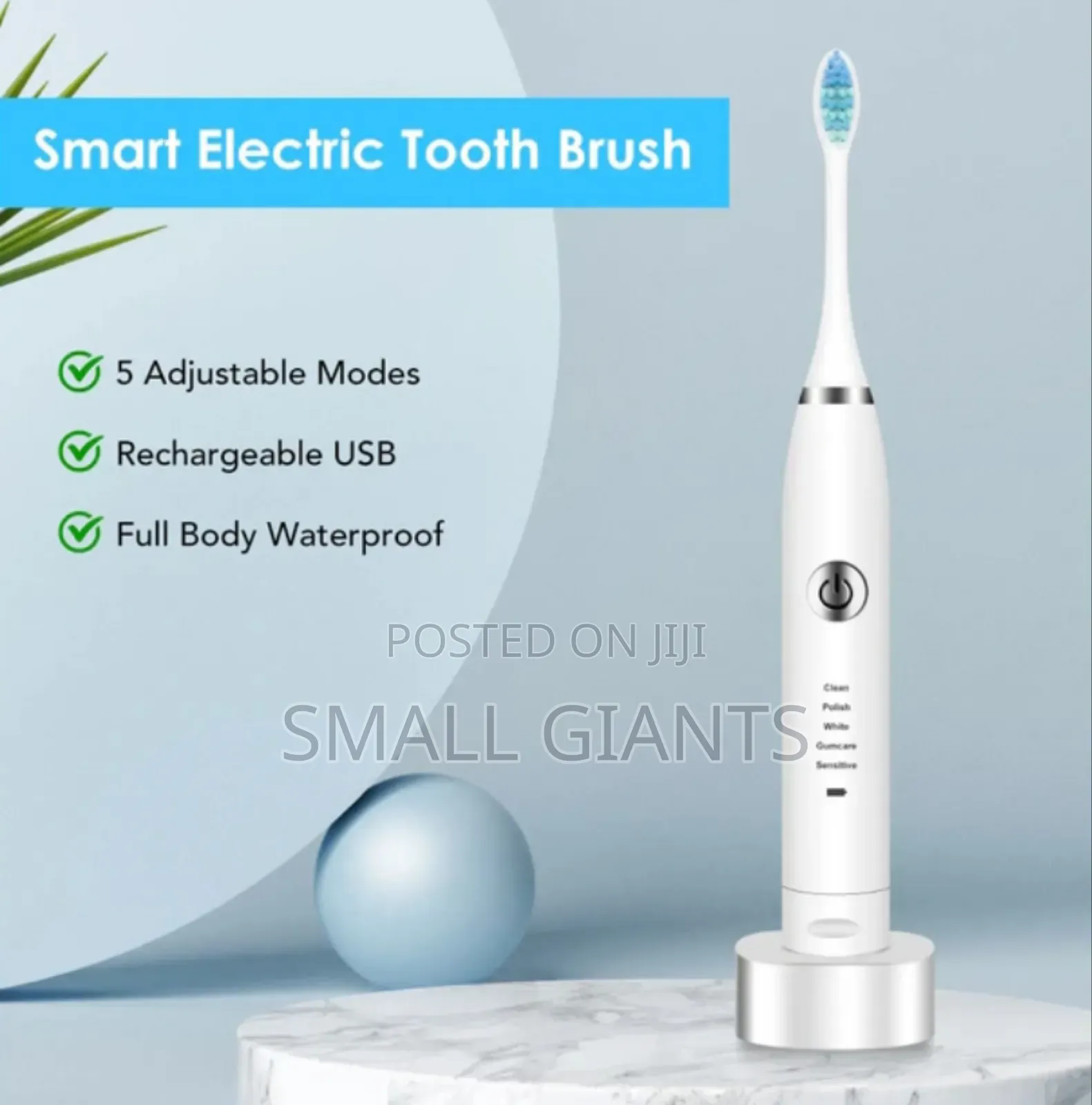 2 Heads Sonic Electric Toothbrush