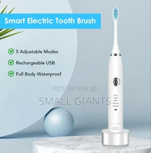 2 Heads Sonic Electric Toothbrush