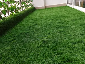 High Quality Grass Carpet