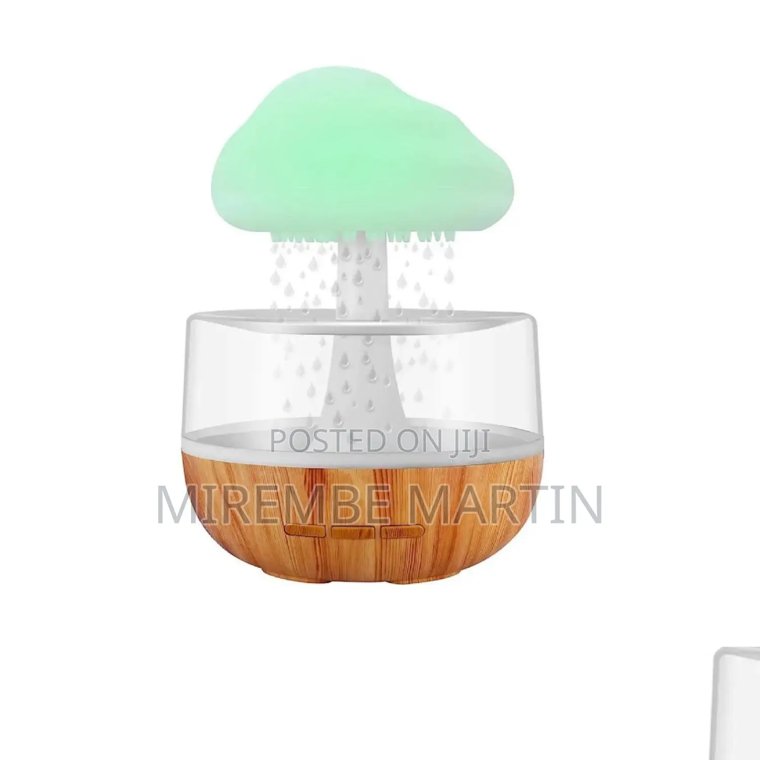 Electric Rain Drop Humidifier.