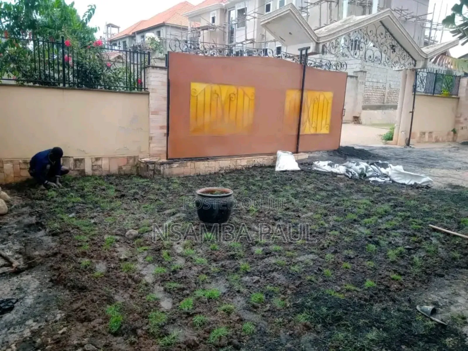 Are Good Grass