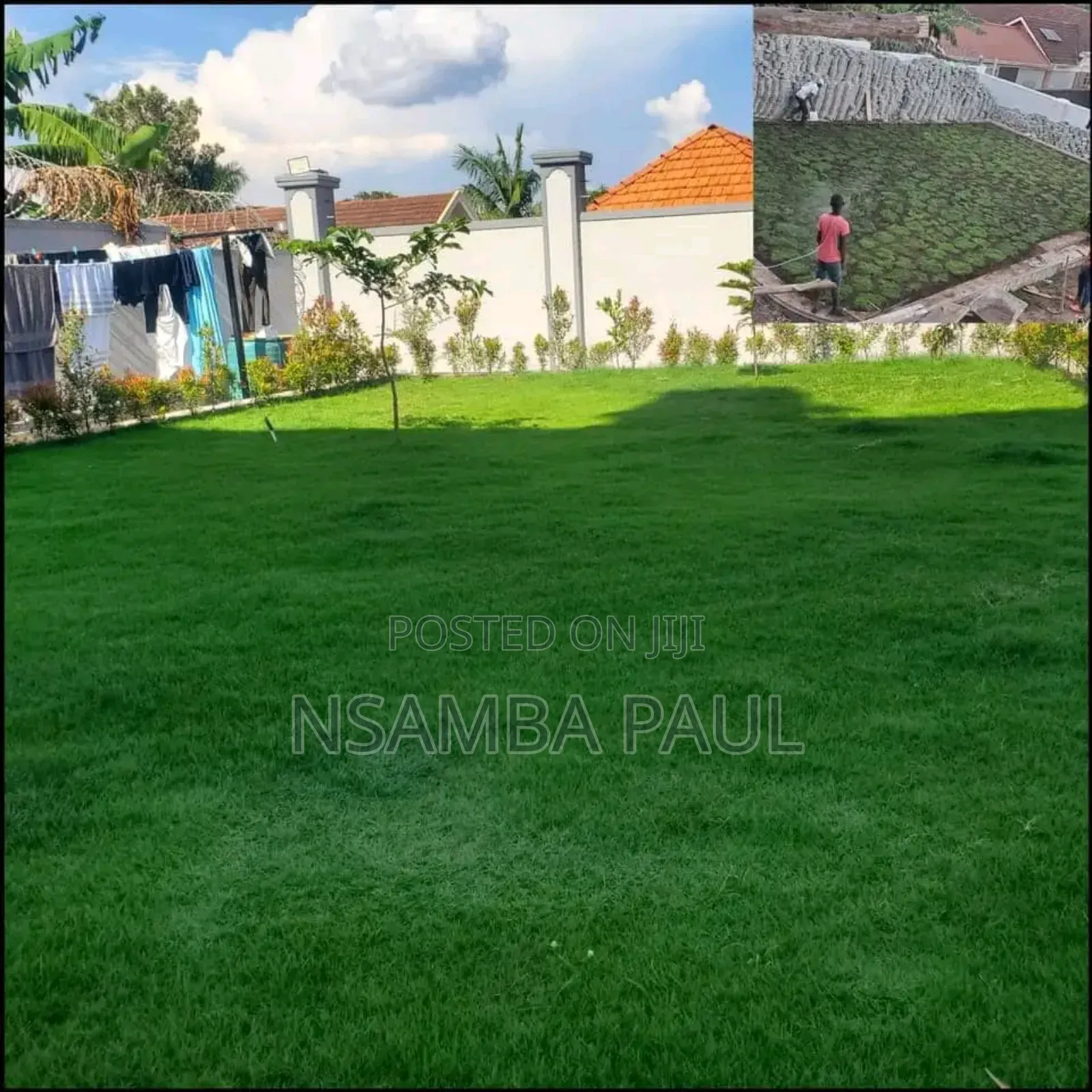 Are Good Grass