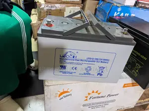 Leoch Battery 12v 100AH