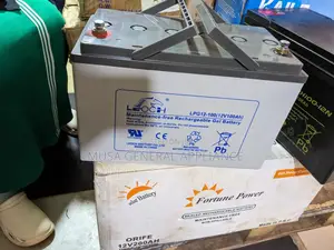 Leoch Battery 12v 100AH