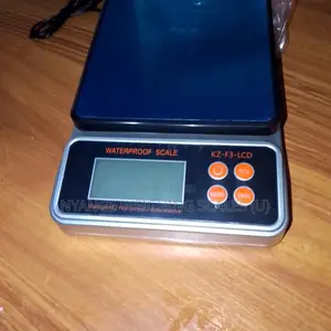 Waterproof Weighing Scales Shop 10kg Weighing Scale [500]