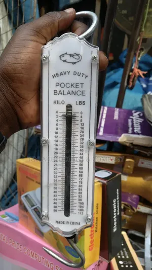 High Quality 50kg Scale Pocket Balance Hanging Scale Spring