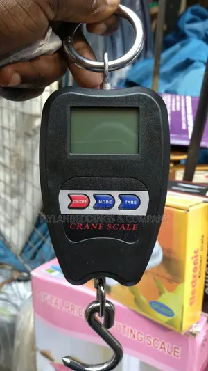 Mini Crane Scale Weighing Digital Industrial Hanging Scale