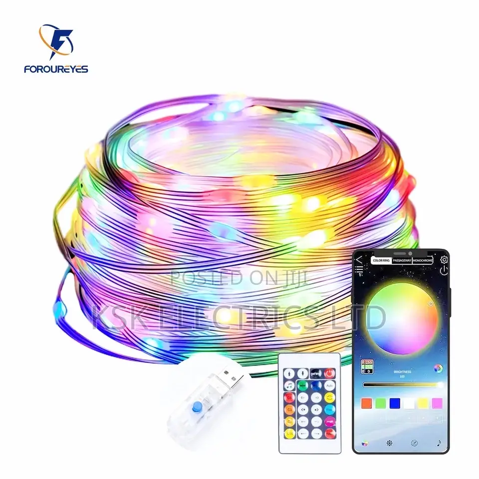 5m 10m 20m Smart LED String Lights Fairy Light