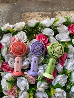 Mini Portable Fans/ Portable Fan