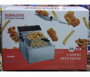 Commercial 6l Electric Deep Fryer - Silver