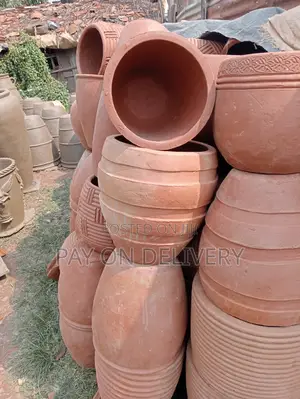 Pots of Flowers