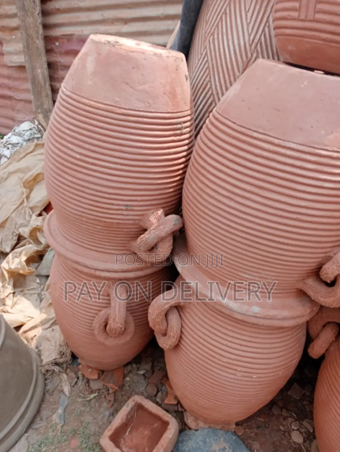Pots of Flowers