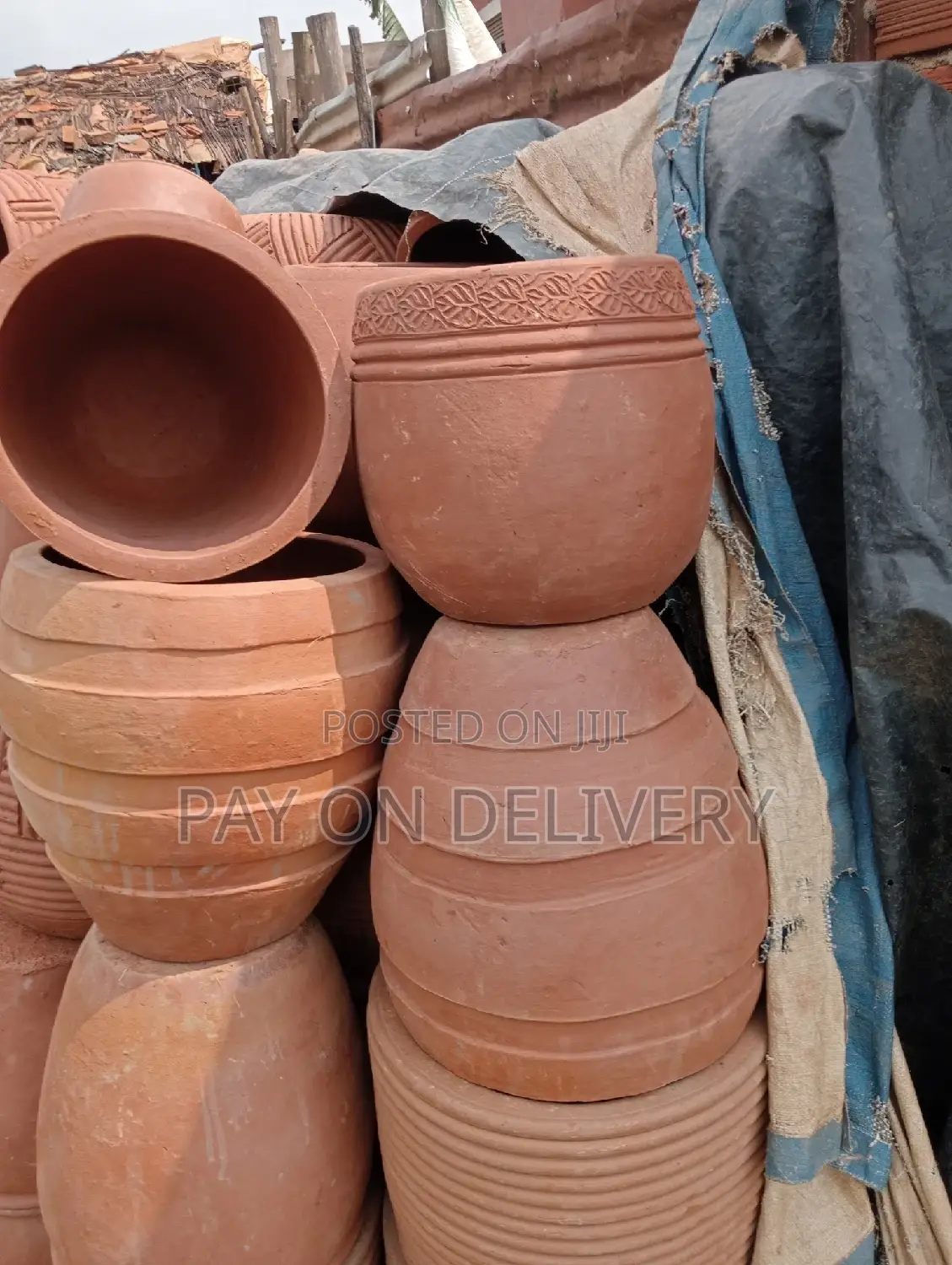 Pots of Flowers
